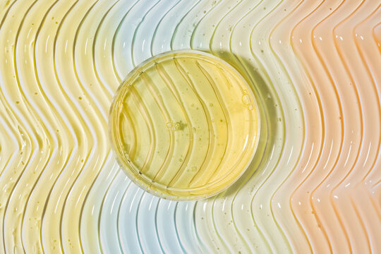 Yellow cosmetic gel smear in Petri dish texture background