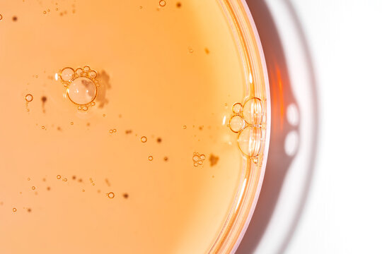 Orange cosmetic gel sample in Petri dish close-up