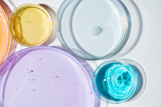 Petri dish samples with cosmetic gel for chemical research