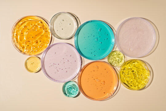 Colorful cosmetic gel samples in Petri dishes for research