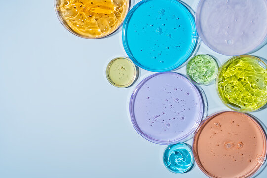 Colorful cosmetic gel samples in Petri dishes