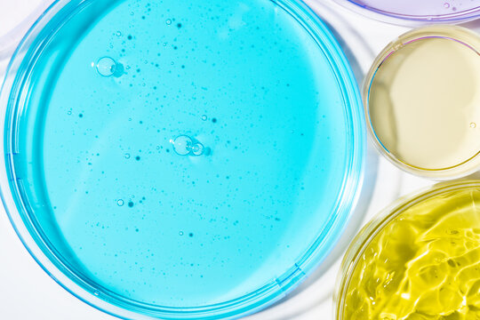 Colorful cosmetic gel samples in laboratory Petri dishes