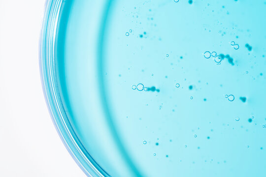 Blue cosmetic gel sample in Petri dish for laboratory research