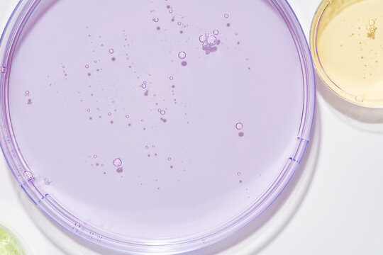 Petri dish with cosmetic gel for chemical research