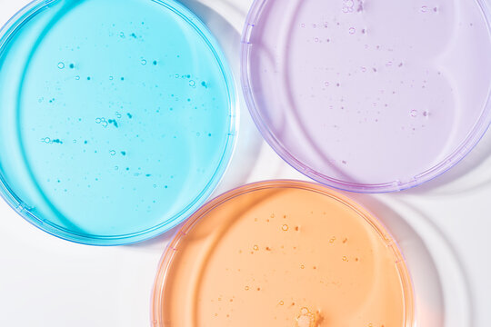 Colorful Petri dishes with cosmetic gel for chemical research