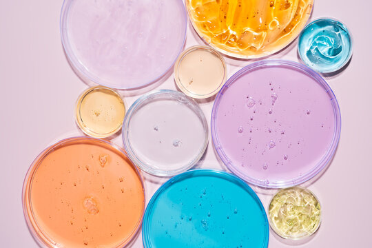Colorful cosmetic gel samples in Petri dish collection