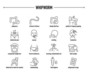 Fototapeta premium Whipworm symptoms, diagnostic and treatment vector icon set. Line editable medical icons.