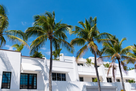 Modern architecture building and palm tree. Miami South Beach in Ocean Drive. Art Deco building architecture. Architectural building. Historic District. Art deco architectural district. Art Deco