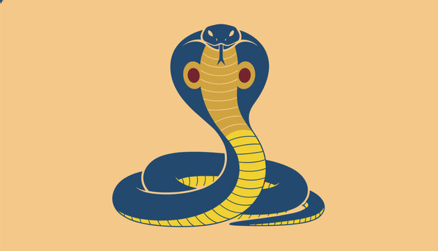 Majestic king cobra snake in a defensive curled position with its hood flared on a solid light orange background.