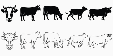 Fototapeta premium Vintage engraving of various cattle breeds in different poses and views