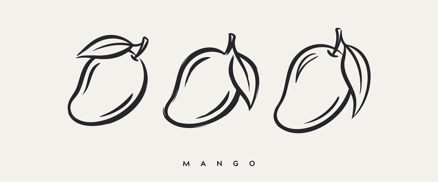 Minimalist black ink mango fruit sketch illustrations with leaves set of three on beige background