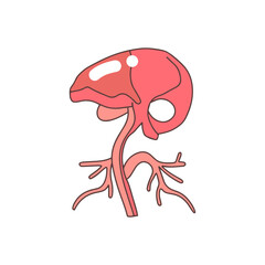Fototapeta premium Human Organ Icons for Medicine and Health Design 