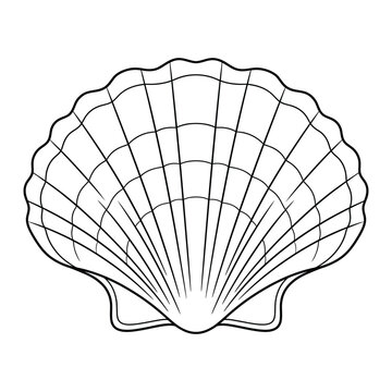 Symmetrical scallop seashell with radiating fluted ridges, growth rings, and basal auricles line art vector illustration isolated on white background.