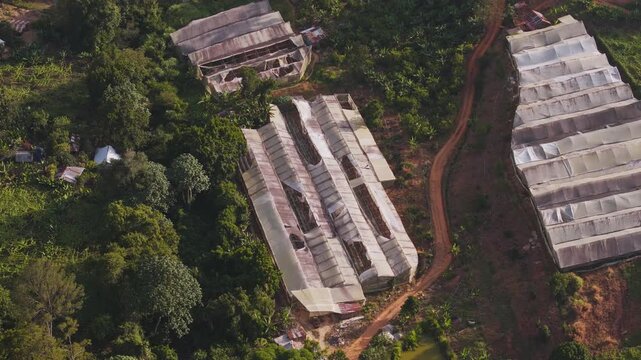 Aerial view of greenhouses in Jarabacoa, Dominican Republic.