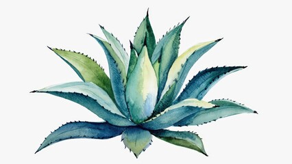 Fototapeta premium Watercolor Illustration of Blue Agave Plant: Succulent Botanical Art for Southwestern and Mexican Themes.