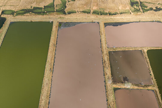 Aerial view of a wastewater treatment plant with rectangular settling ponds showing varying water colors and textures in Polokwane, Limpopo, South Africa.