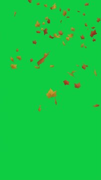 Autumn Maple Leaves Falling on Green Screen - 4 Animation Overlay Pack for Vertical Video