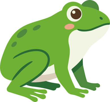 Cute green frog illustration cartoon vector character of a friendly bullfrog toad sitting in profile for kids design and animal graphics