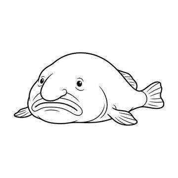 Deep sea blobfish with iconic drooping nose and frowning face line art vector illustration isolated on white background.