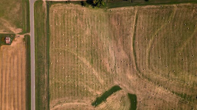 Top down aerial of a farm road dividing mown hay fields
