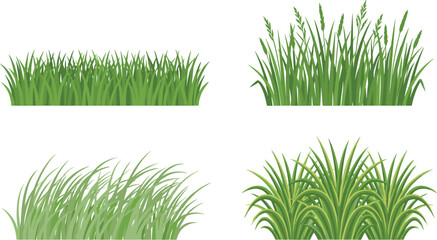 Naklejka premium Green grass clumps vector illustration set isolated on white background for spring summer nature landscape elements lawn design and field icons