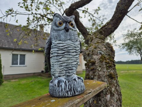 Cute owl garden decor sitting outdoors in nature