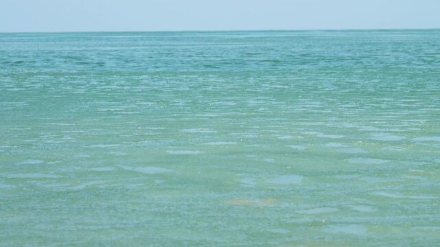 Cream ice, ice fat on Azov Sea. In calm, frosty weather, even salt water freezes, pancake ice forms, and when pores filled, ice crystals merge into flexible mass that extinguishes waves. Foam hardens