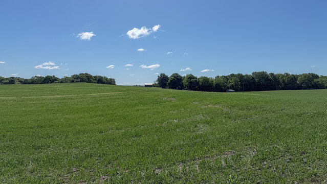 Wide open green field under a blue sky with scattered clouds, a tree line in the distance, and a small barn visible on the horizon, near Bardstown, Kentucky