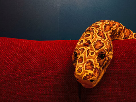 Plush snake toy head emerging from red sofa