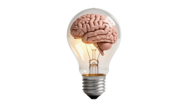Human brain inside a glowing light bulb, isolated on transparent background