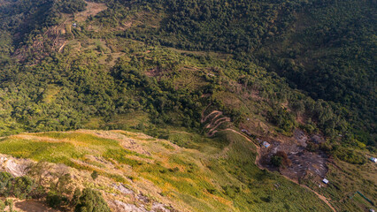 Fototapeta premium Aerial view of a winding hairpin bend dirt path on the hills near Kookal, Kodaikanal, Tamil Nadu, surrounded by lush green forests and scenic mountainous landscapes of the Western Ghats.