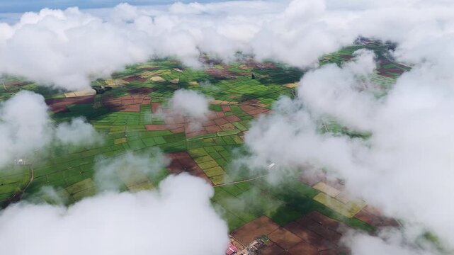 Aerial view of Terceira Island fields, Portugal.
