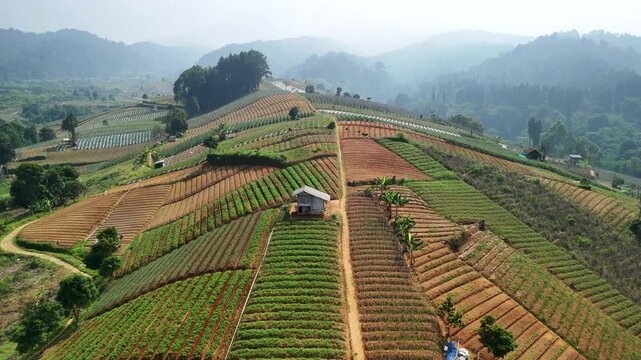 Aerial view of terraced hillside fields in West Java, Indonesia.