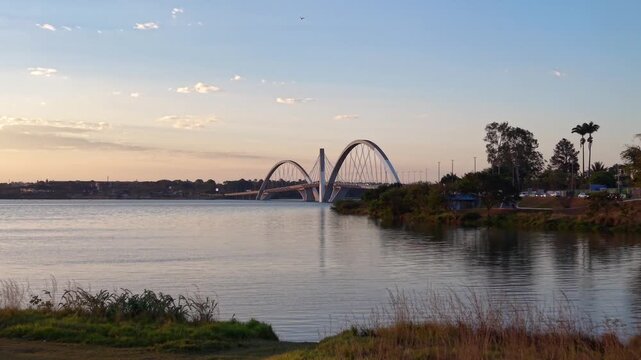 Juscelino Kubitschek Bridge (Ponte JK) from across Lake Paranoa with a Yellow Trumpet Tree (Handroanthus chrysotrichus) in the foreground, Brasilia, Brazil