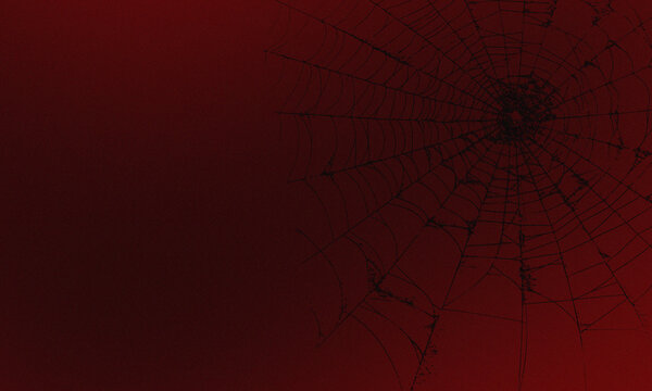 A dark, eerie spider web silhouetted against a deep red, textured background, creating a mysterious and gothic atmosphere