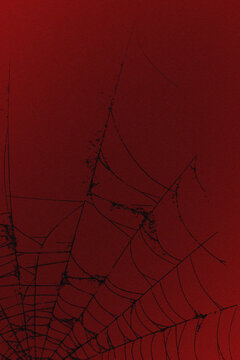 A detailed closeup of a delicate spider web against a deep, solid red background, highlighting the intricate patterns and textures of the silk strands