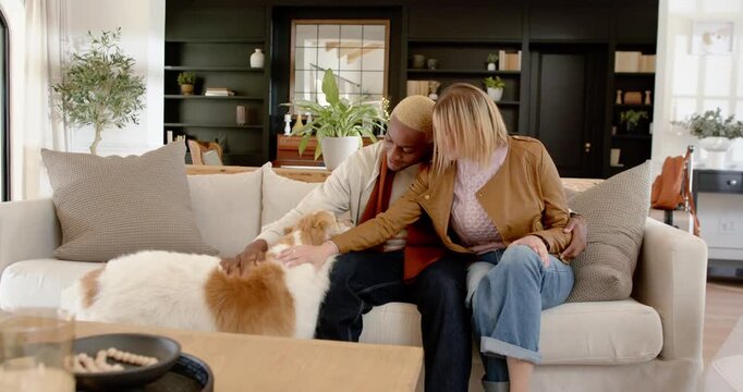 Diverse couple reaching and petting whitebrown dog on sofa after dog leaning into hands, bonding
