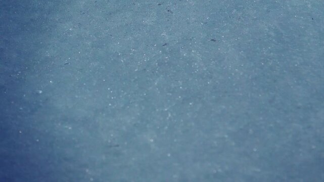 Ice fat on Azov Sea. In calm frosty weather, even salt water freezes, pancake ice forms, and when pores filled, ice crystals merge into flexible mass that extinguishes waves. Like fat skin of sea lion