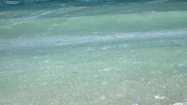 Ice fat on Azov Sea. In calm frosty weather, even salt water freezes, pancake ice forms, and when pores filled, ice crystals merge into flexible mass that extinguishes waves. Like fat skin of sea lion