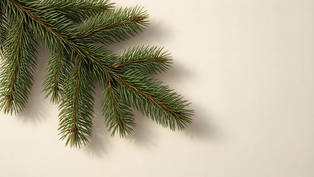 Neutral linen Christmas background with a single pine branch