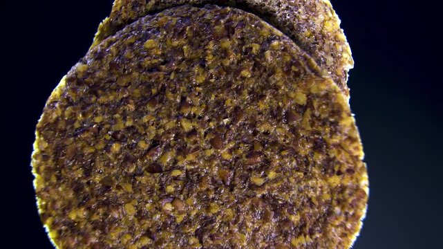 Textured Surface of Fruit and Seed Crisp Rotating, Extreme Macro