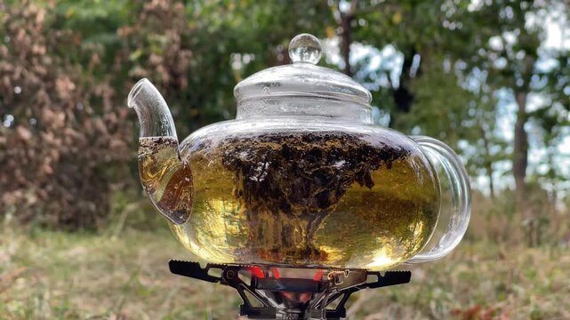 Brewing fresh tea in glass teapot on portable camping stove outdoors