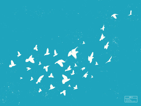White pigeon flock outline. Birds flying on turquoise textured backdrop