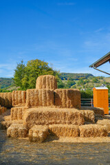 Sheaves of hay in the countryside. © Iryna