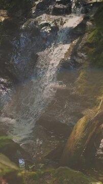 Tannery Falls cascades over moss-covered rocks in Savoy Mountain State Forest, Massachusetts, surrounded by forest shadows and sunlight on a sunny day. Vertical.
