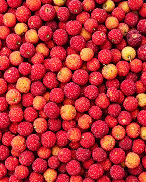 Close-up of a pile of fresh strawberry tree fruit, arbutus