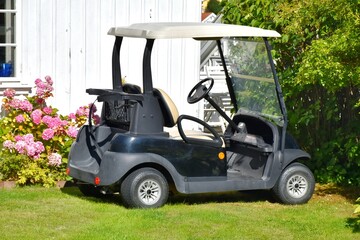 A dark blue golf cart stands on the green lawn of a country house, next to a hydrangea bush. A concept representing luxury leisure, sports, country living, and eco-friendly transport © Natalia