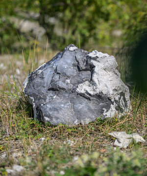 Dark flint nodule embedded within pale limestone rock.