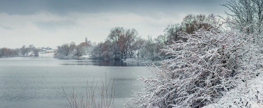 Winter landscape with lake, snow covered trees and viburnum berries in foreground