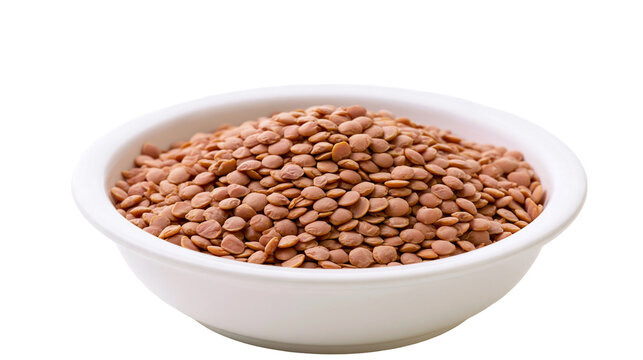 Isolated bowl of natural raw brown lentils for healthy cooking and protein-rich nutrition